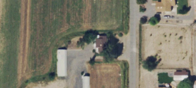 Income-Producing Tree Farm with Custom Home