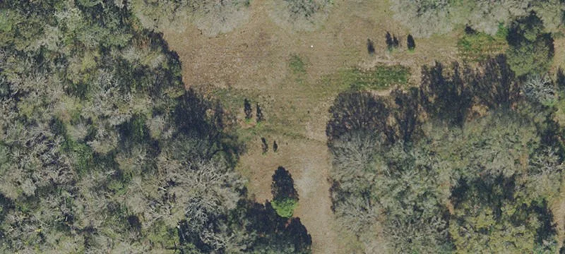 Specialty Property with Three Parcels