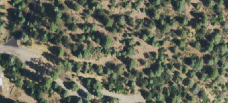 Residential Cul-de-Sac Home Lot