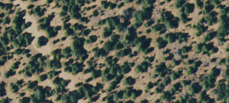 Mountain Land Parcel