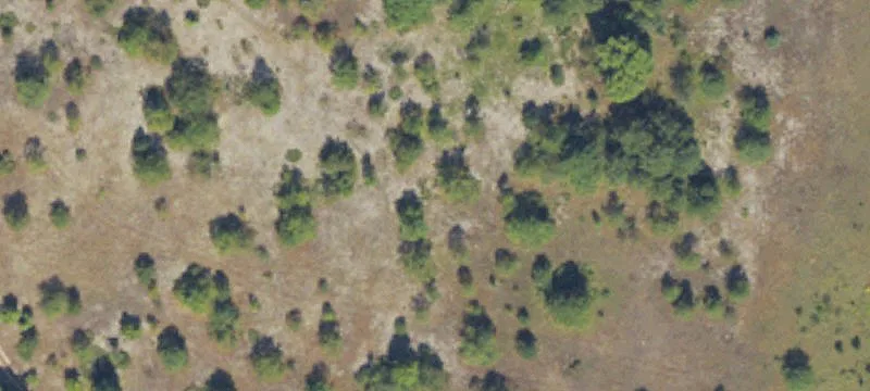Recreational Land with Cabin