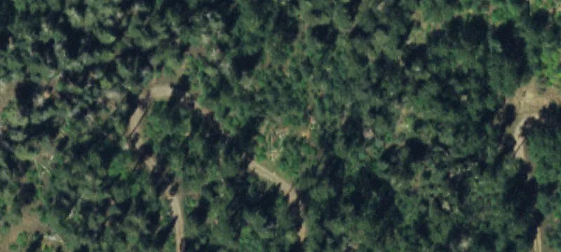 Recreational Land Bordering National Forest