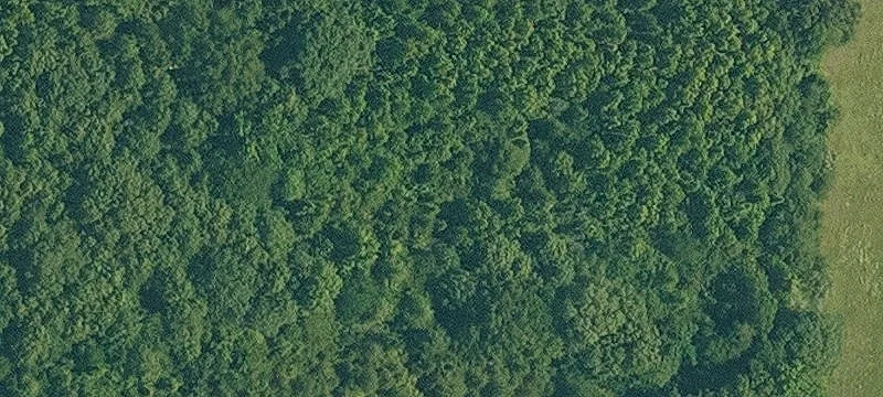 Residential Land Lot