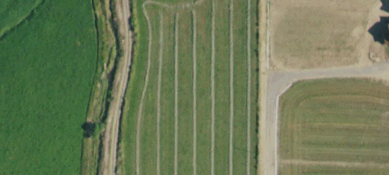Irrigated Agricultural Land Parcel