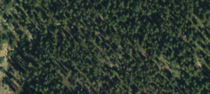 Build-Ready Mountain Homesite