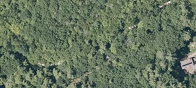 Wooded Residential Land Homesite