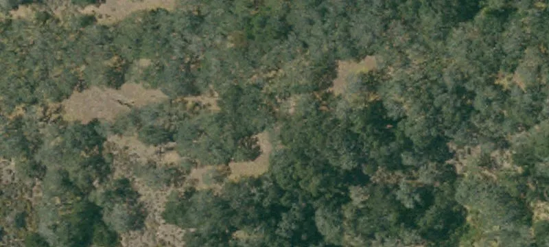 Agricultural Land Parcel