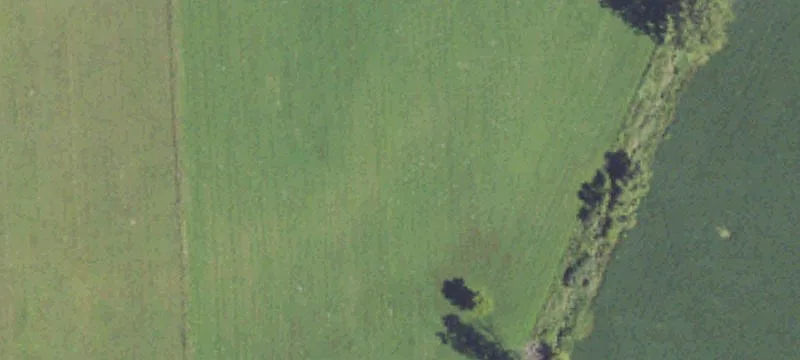 Specialty Property for Sale