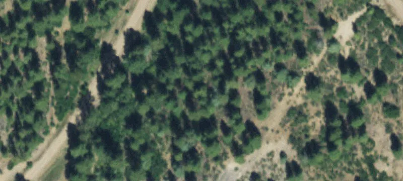 Wooded Mountain Home Site