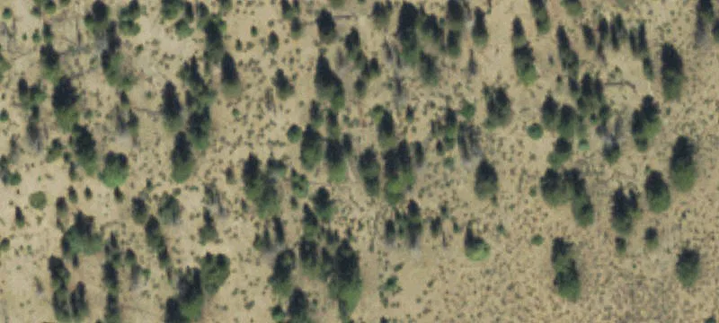 Residential Land in Blue Mesa