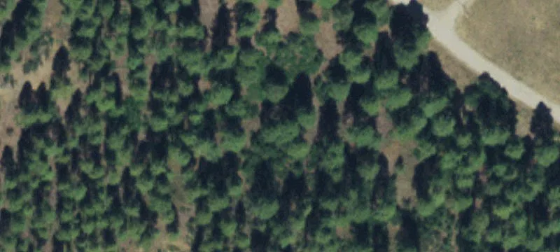 Mountain Equestrian Land Parcel