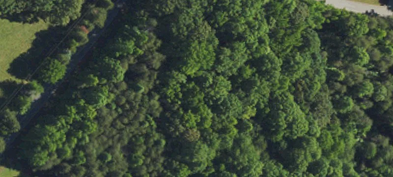Flat Treed Residential Land Lot