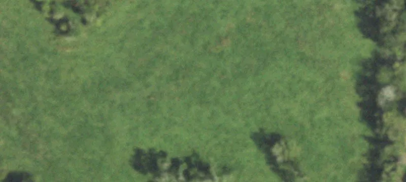 Acreage Near San Bernard River