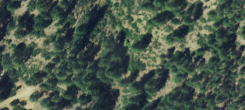 Hunting Land with National Forest Access