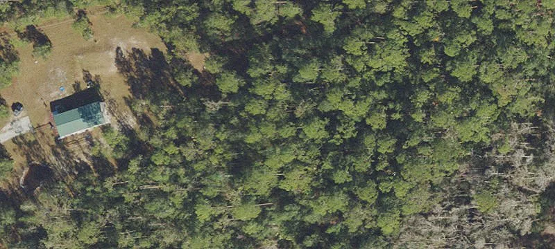 Wooded Residential Land Parcel
