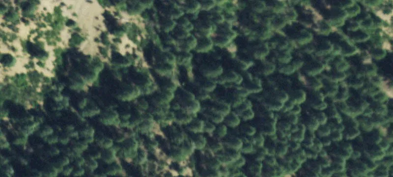 Ranch/Farm Land with Water Rights
