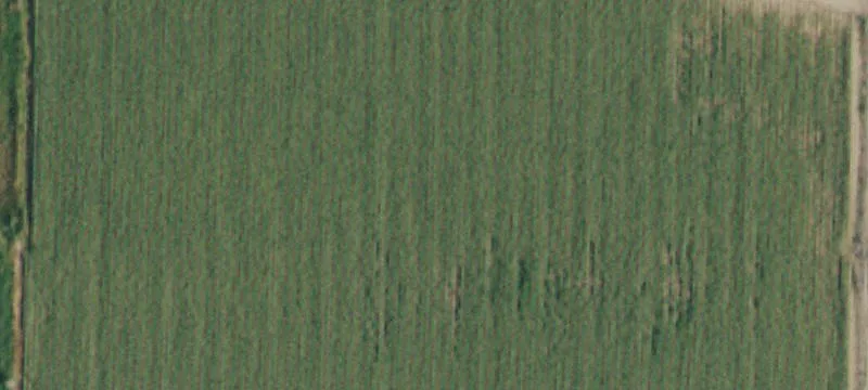 Irrigated Acreage with Creek