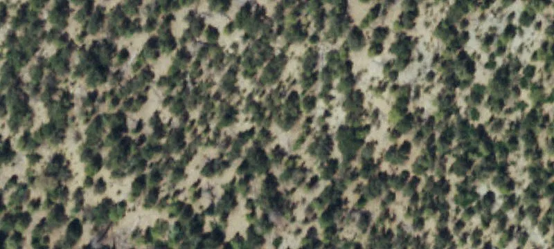 Residential Ranch Land Tract