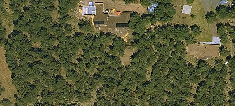 Residential Land Parcel with Forest Backdrop