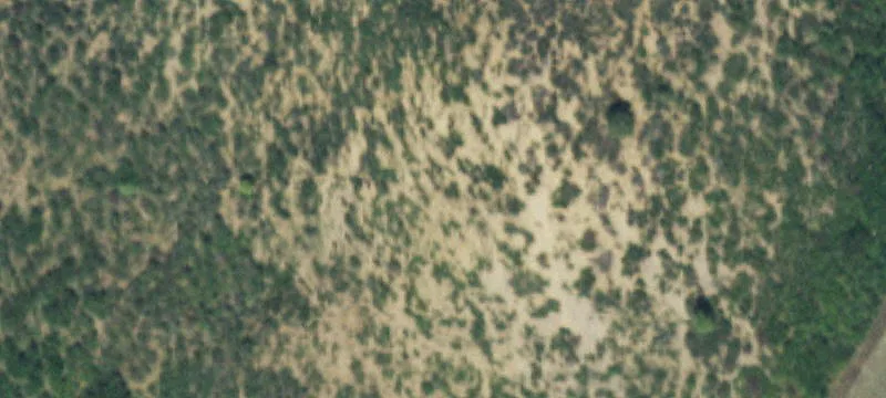 Ranch-Style Land with Grazing