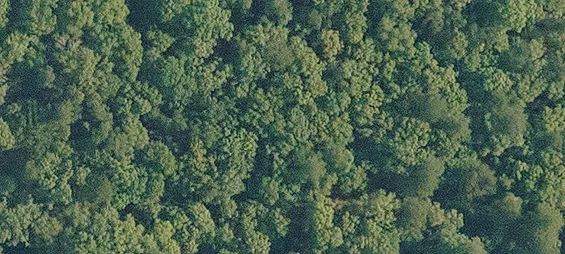 Agricultural Land Parcel