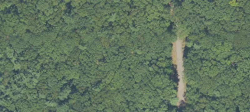 Wooded Residential Land Parcel