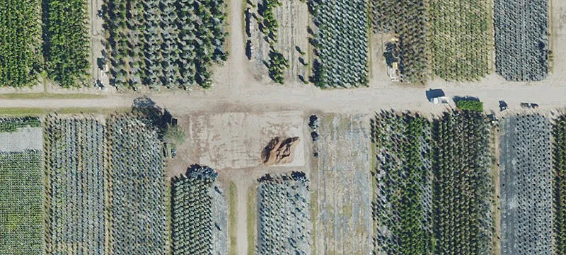 Agricultural Nursery Land Parcel