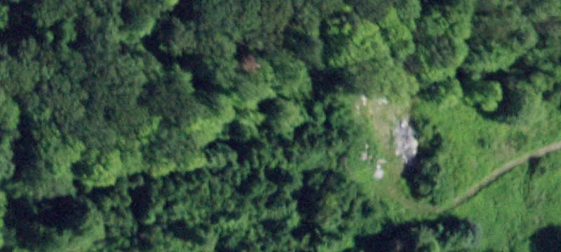 Single-Family Home with Land