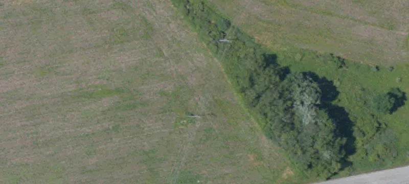 Mostly Flat Agricultural Land