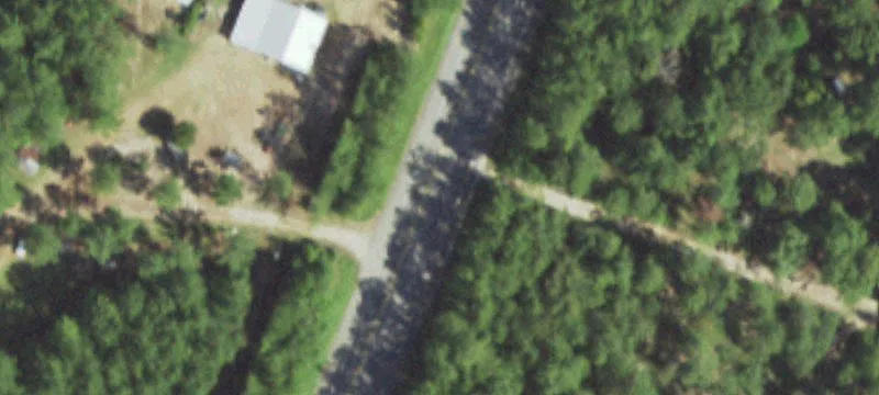 Heavily Wooded Timber Land