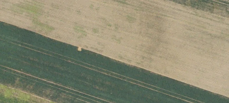 Farmland with House and Shop