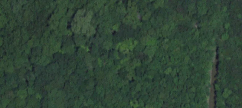 Country Estate Land with Frontage