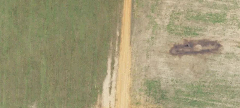 Cleared Agricultural Land Tract