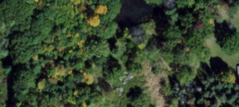 Partially Wooded Recreational Land