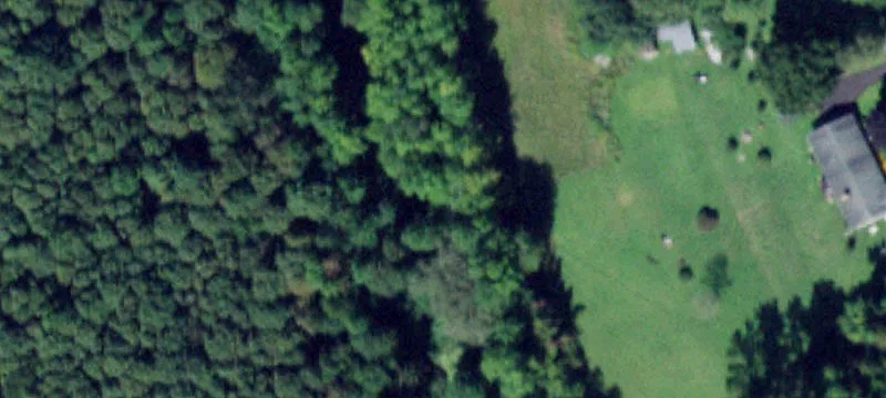 Wooded Hunting Parcel with Cabin