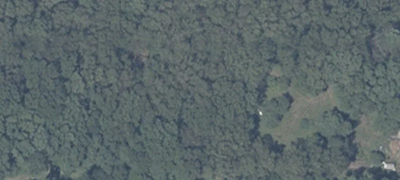 Wooded Recreational Land