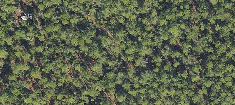 Rural Agriculture Land Parcel