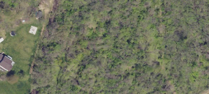 Wooded Land with Perimeter Fencing