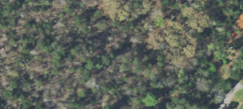 Unrestricted Mountain View Land