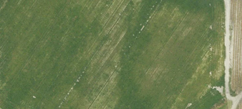 Cleared Agricultural Land Parcel