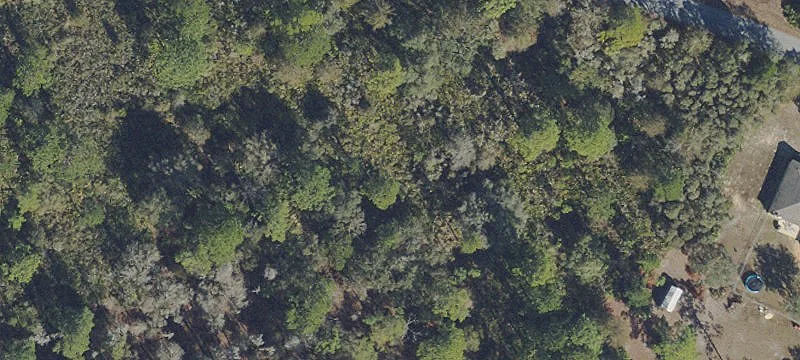 Acreage Residential Homesite