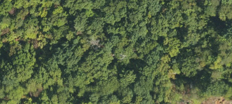 Unrestricted Land Parcel