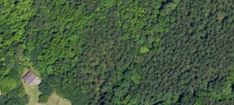 Wooded Residential Acreage