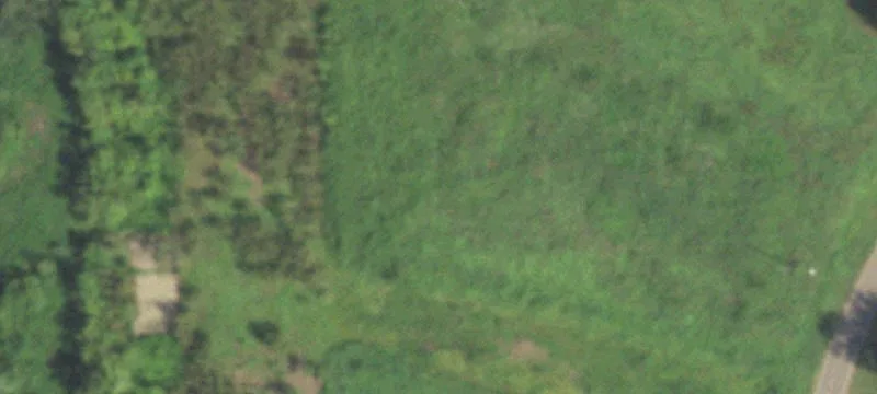 Acreage Homesite with Cleared Pasture