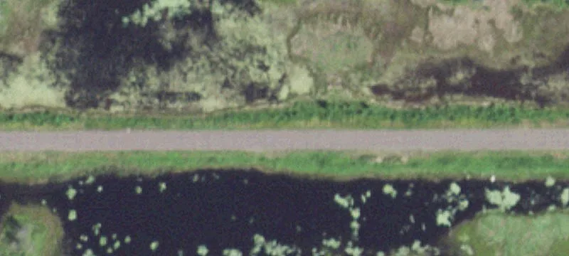 Wooded Recreational Land Parcel