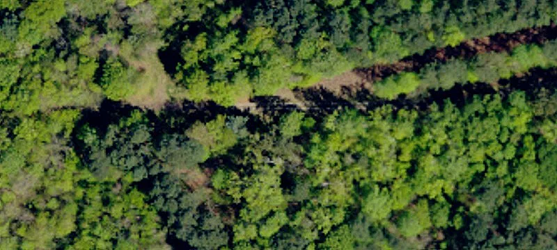 Wooded Residential Tract Lot 10