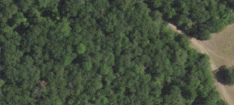 Wooded Country Homesite with Lake Access