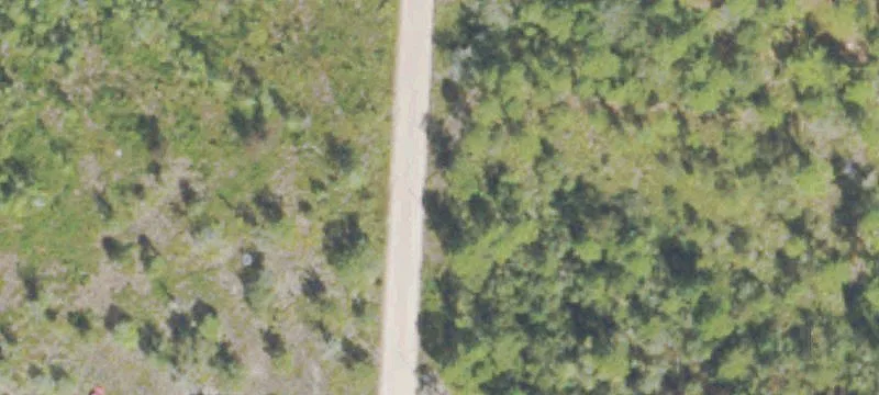 Riverfront Hunting and Lodge Property