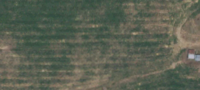 Country Acreage with Outbuildings