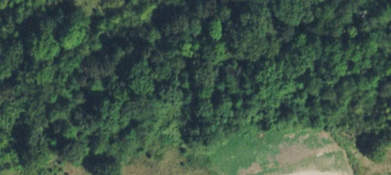 Partially Fenced Hunting Land